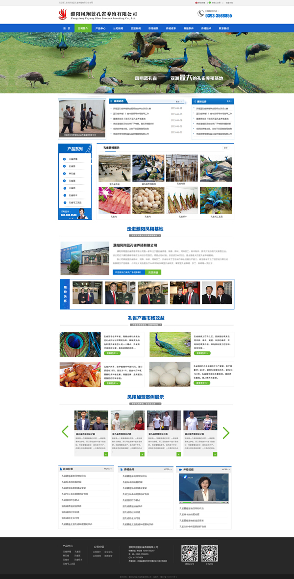 藍(lán)孔雀養(yǎng)殖|孔雀養(yǎng)殖|北京建站 藍(lán)孔雀養(yǎng)殖|孔雀養(yǎng)殖|北京建站