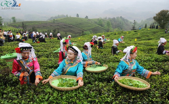 疾病控制中心網(wǎng)站建設|北京網(wǎng)站制作 疾病控制中心網(wǎng)站建設|北京網(wǎng)站制作