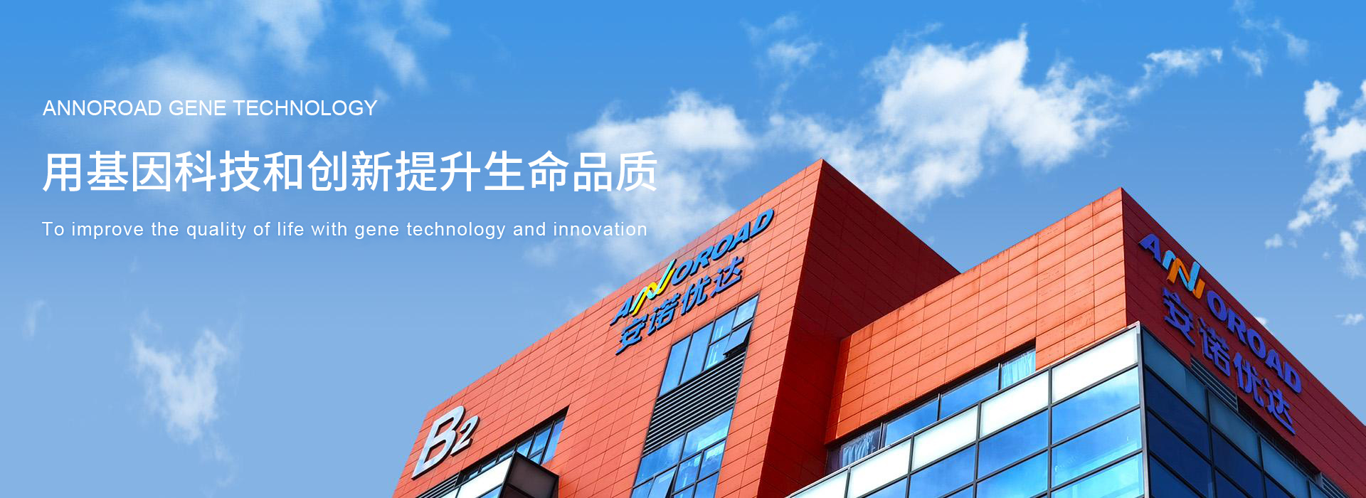 醫(yī)藥公司網(wǎng)站建設(shè)