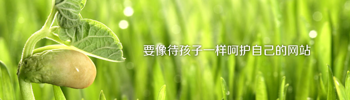 要像待孩子一樣呵護自己的網站